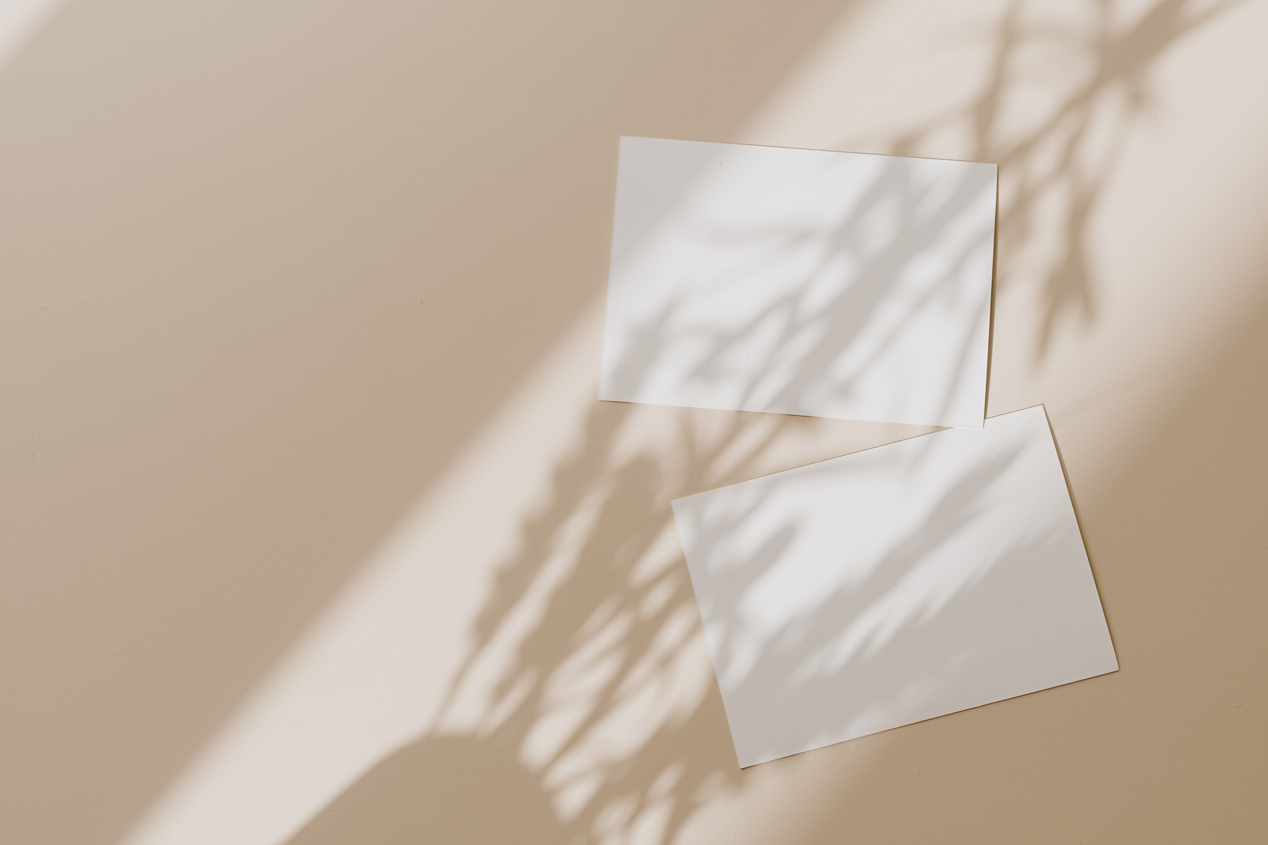 Blank Cards on Beige Background with Foliage Shadows
